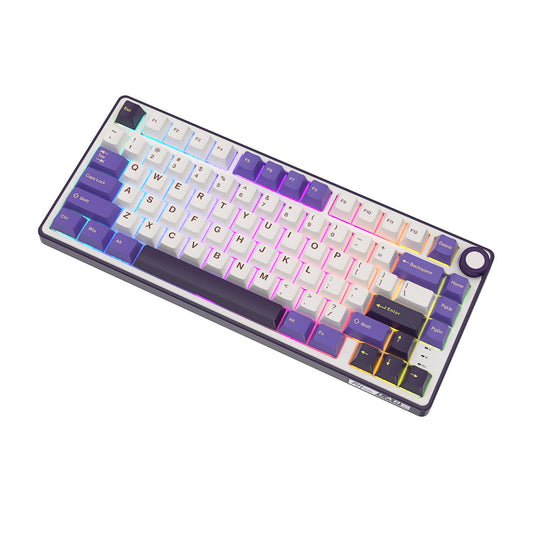 Royal Kludge RK R75 Custom Mechanical Keyboard