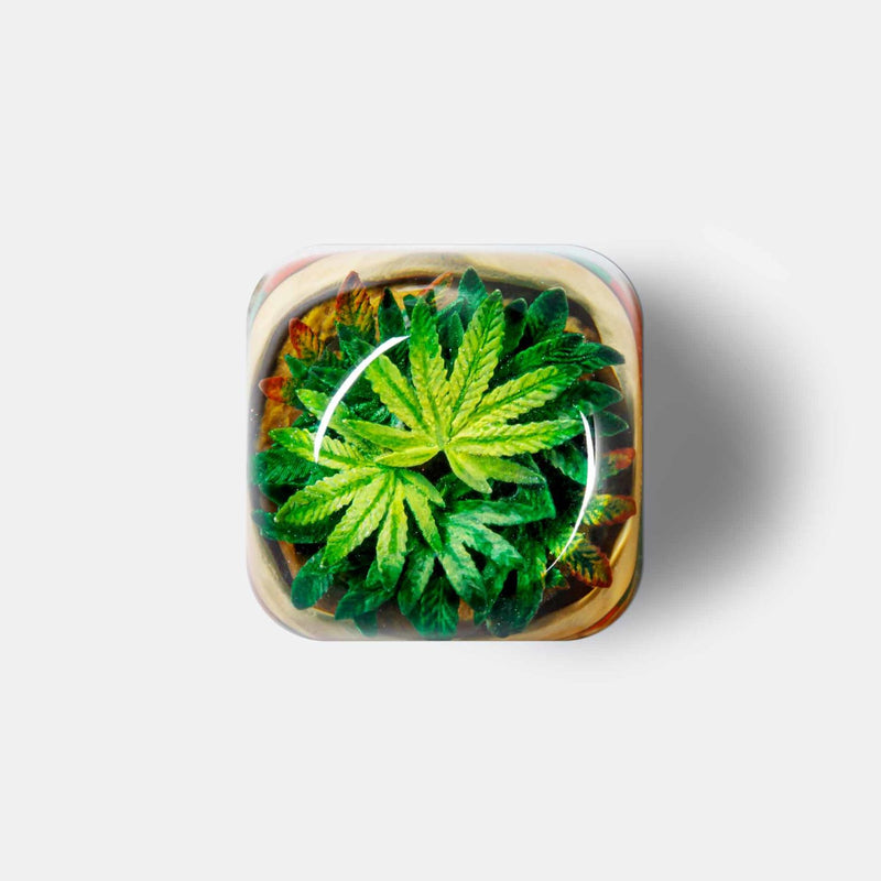 Load image into Gallery viewer, Dwarf Factory - S'Weed - DOM Profile Artisans