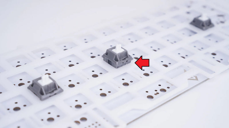 Load image into Gallery viewer, Geon Plate Support Fork