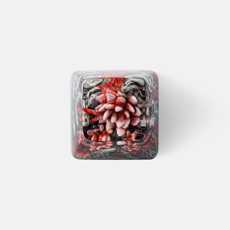 Load image into Gallery viewer, Dwarf Factory - Gaea's Crown - SA R1 Profile Artisans