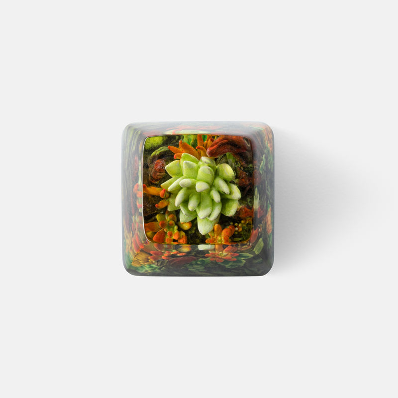 Load image into Gallery viewer, Dwarf Factory - Gaea's Crown - SA R1 Profile Artisans