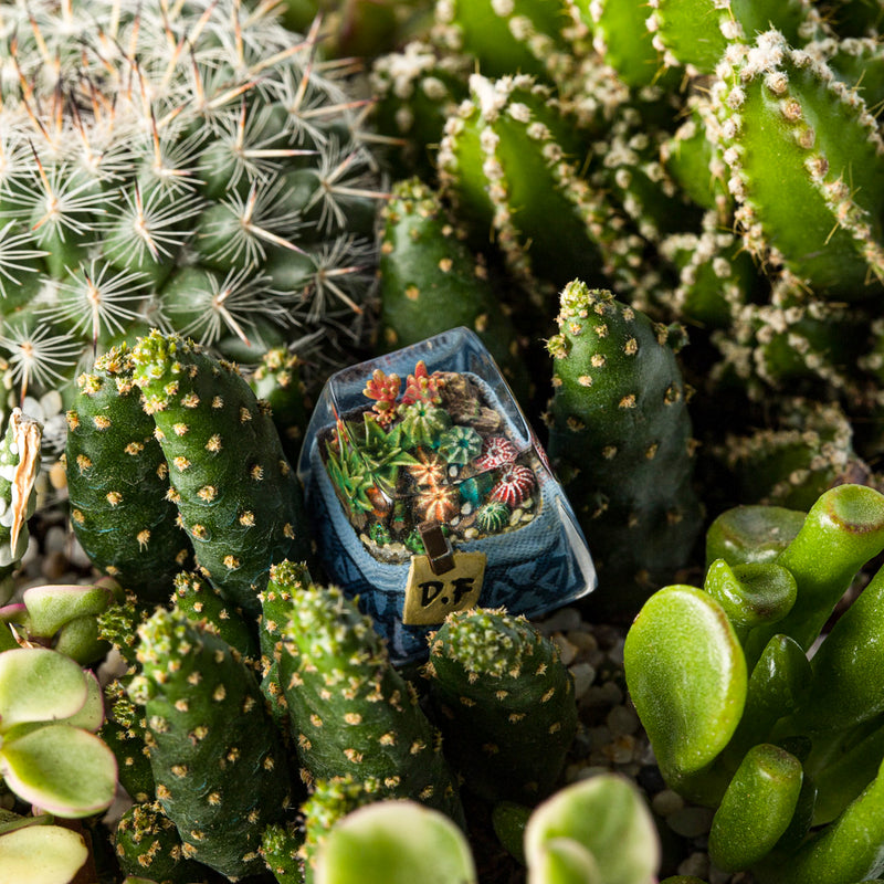 Load image into Gallery viewer, Dwarf Factory - Terrarium - SA R1 Profile Artisans