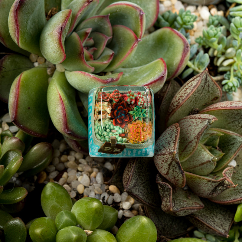 Load image into Gallery viewer, Dwarf Factory - Terrarium - SA R1 Profile Artisans