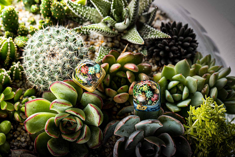 Load image into Gallery viewer, Dwarf Factory - Terrarium - SA R1 Profile Artisans