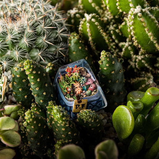 Dwarf Factory - Terrarium - SA R1 Profile Artisans