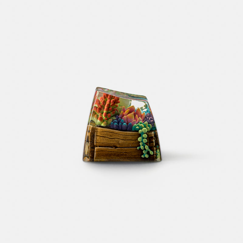 Load image into Gallery viewer, Dwarf Factory - Terrarium V2 - SA R1 Profile Artisan