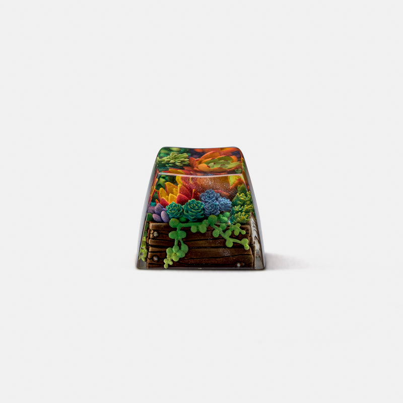Load image into Gallery viewer, Dwarf Factory - Terrarium V2 - SA R1 Profile Artisan