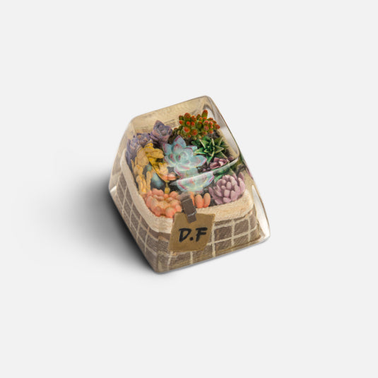 Dwarf Factory - Terrarium - SA R1 Profile Artisans