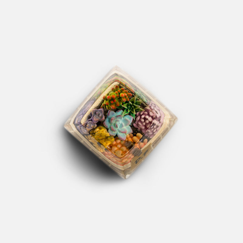 Load image into Gallery viewer, Dwarf Factory - Terrarium - SA R1 Profile Artisans