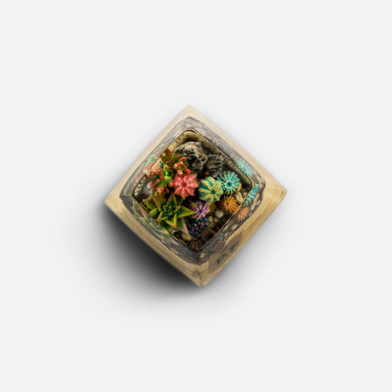 Load image into Gallery viewer, Dwarf Factory - Terrarium - SA R1 Profile Artisans