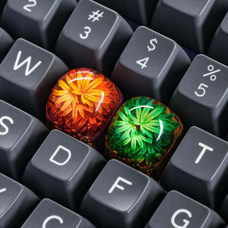 Load image into Gallery viewer, Dwarf Factory - Terrarium V2 Rasta - DOM Profile Artisans