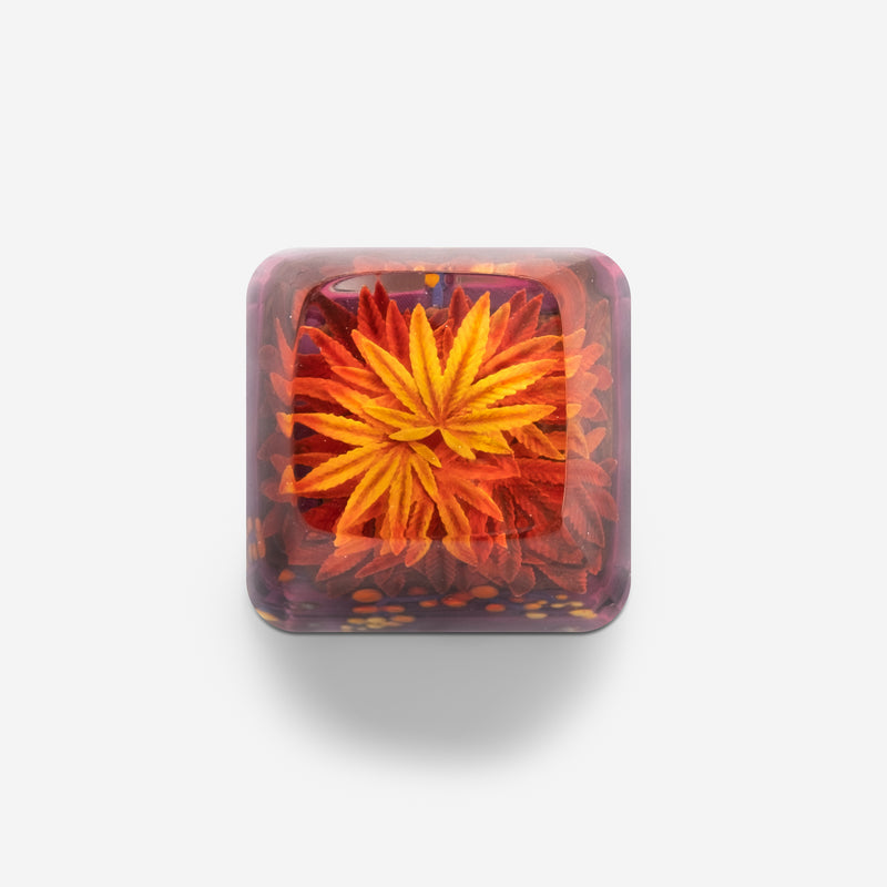 Load image into Gallery viewer, Dwarf Factory - Terrarium V2 Rasta - SA R1 Profile Artisans