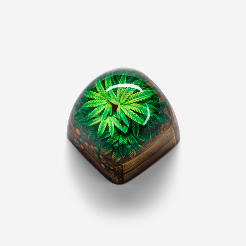 Load image into Gallery viewer, Dwarf Factory - Terrarium V2 Rasta - DOM Profile Artisans