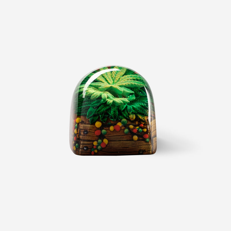 Load image into Gallery viewer, Dwarf Factory - Terrarium V2 Rasta - DOM Profile Artisans