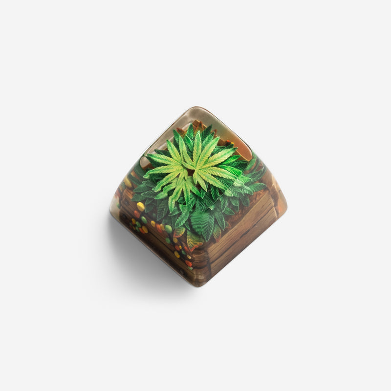 Load image into Gallery viewer, Dwarf Factory - Terrarium V2 Rasta - SA R1 Profile Artisans
