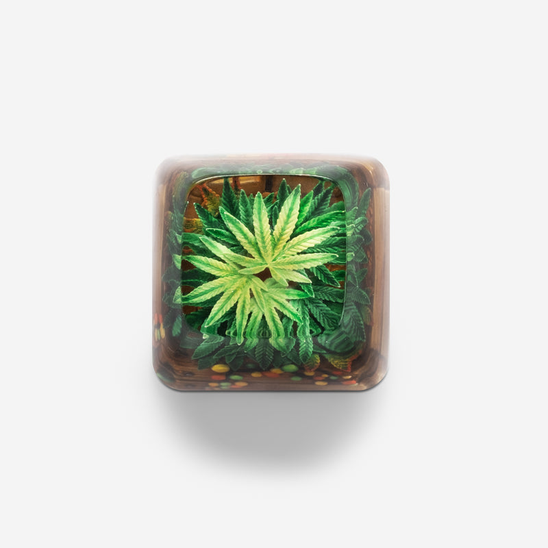 Load image into Gallery viewer, Dwarf Factory - Terrarium V2 Rasta - SA R1 Profile Artisans