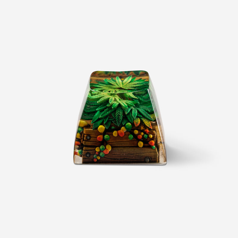 Load image into Gallery viewer, Dwarf Factory - Terrarium V2 Rasta - SA R1 Profile Artisans