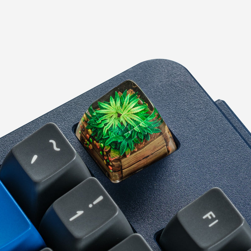 Load image into Gallery viewer, Dwarf Factory - Terrarium V2 Rasta - SA R1 Profile Artisans