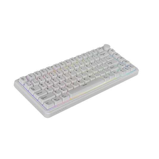 Tecware Ghost 75 Wireless Gaming Mechanical Keyboard