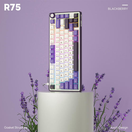 Royal Kludge RK R75 Custom Mechanical Keyboard